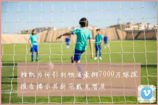 雅凯为何引利物浦豪掷7000万球探报告揭示其新范戴克潜质